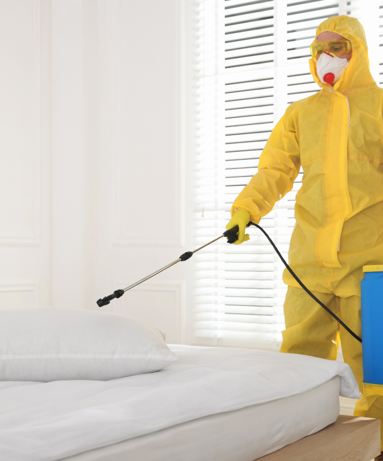 Professional Pest Control Team in Upper Sturt